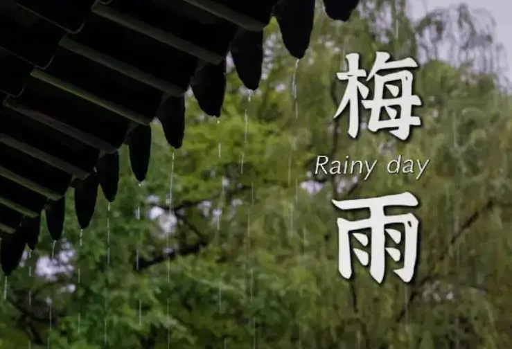 金煌四时焕新宝典｜小满特辑：告别“霉味”实用指南